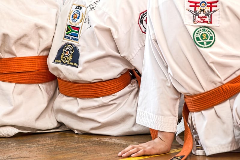 Chen Style Martial Arts